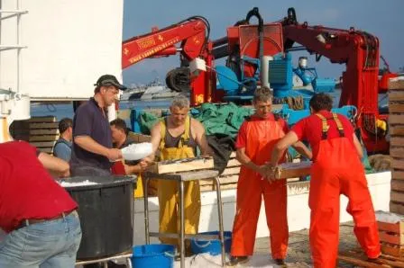 Sicilien 2010 — billede 3