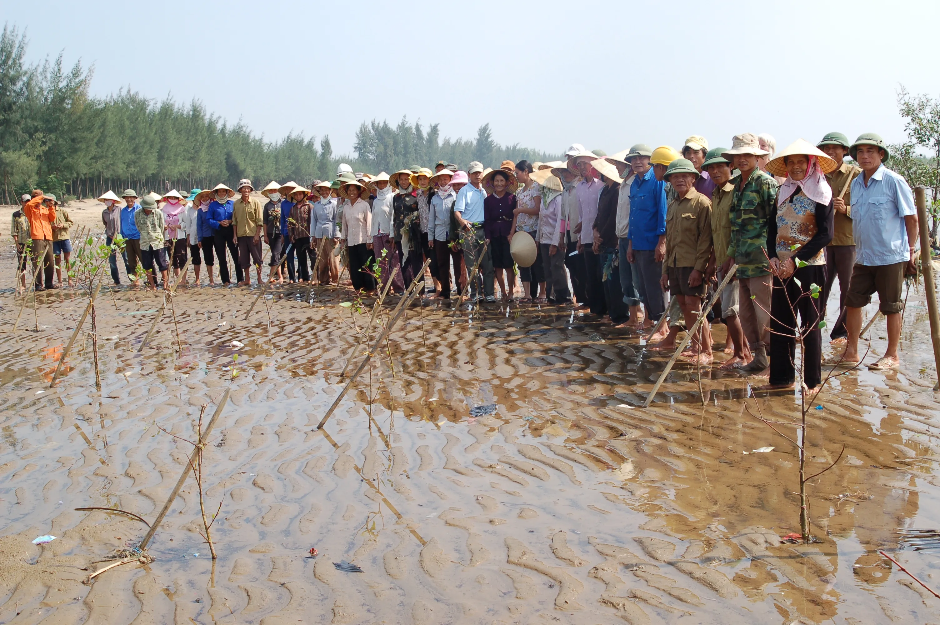 Vietnam - Kattens år 2011 — billede 1