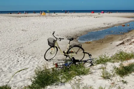 Kattegat - Bønnerup Strand — billede 6