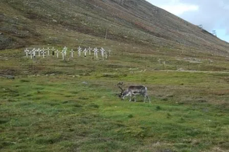Svalbard — billede 3